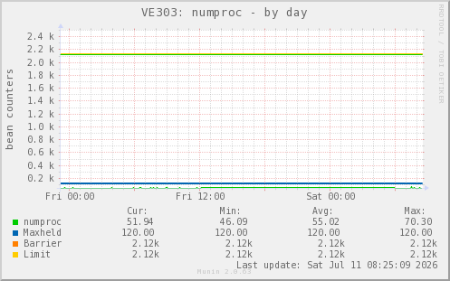 VE303: numproc